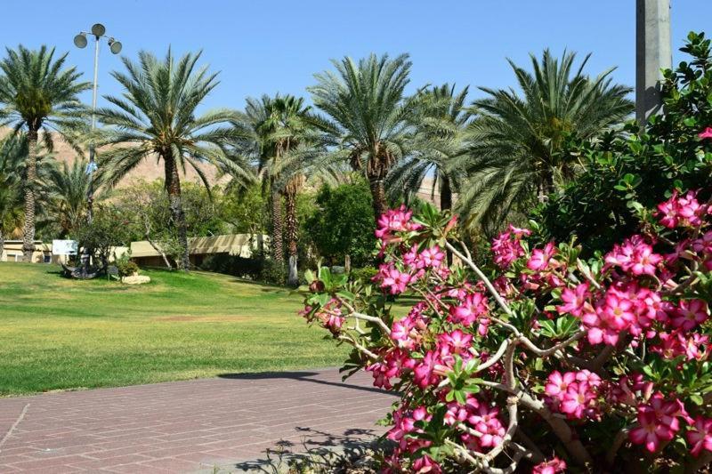 כפר נופש קלי"ה ים המלח Hotel Kalia Buitenkant foto