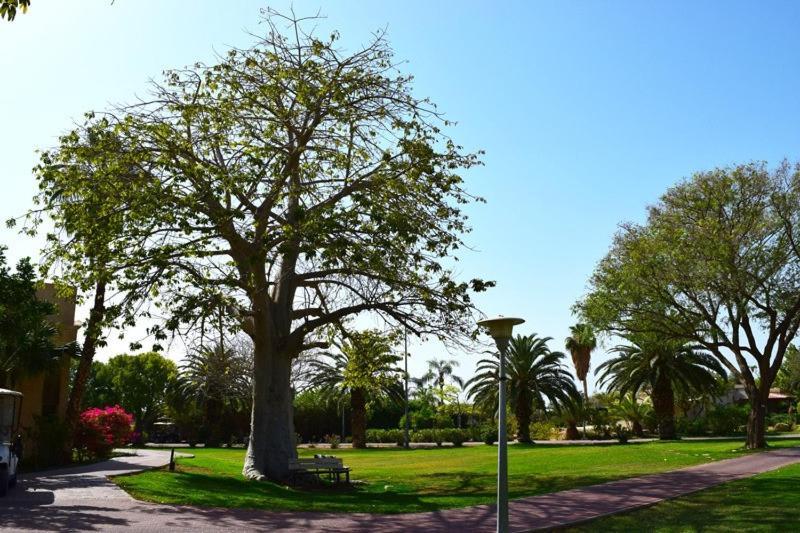 כפר נופש קלי"ה ים המלח Hotel Kalia Buitenkant foto