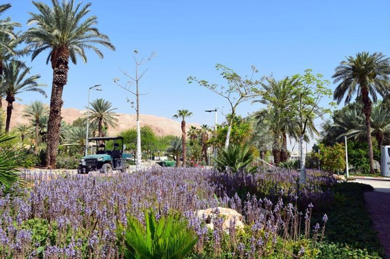 כפר נופש קלי"ה ים המלח Hotel Kalia Buitenkant foto